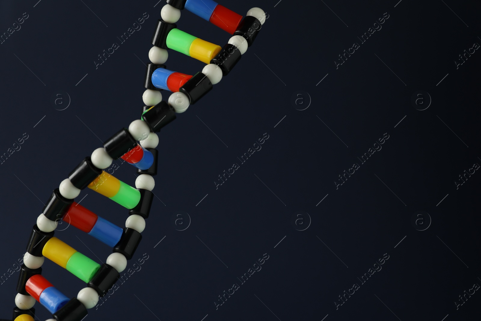 Photo of DNA structure model on dark background, closeup. Space for text