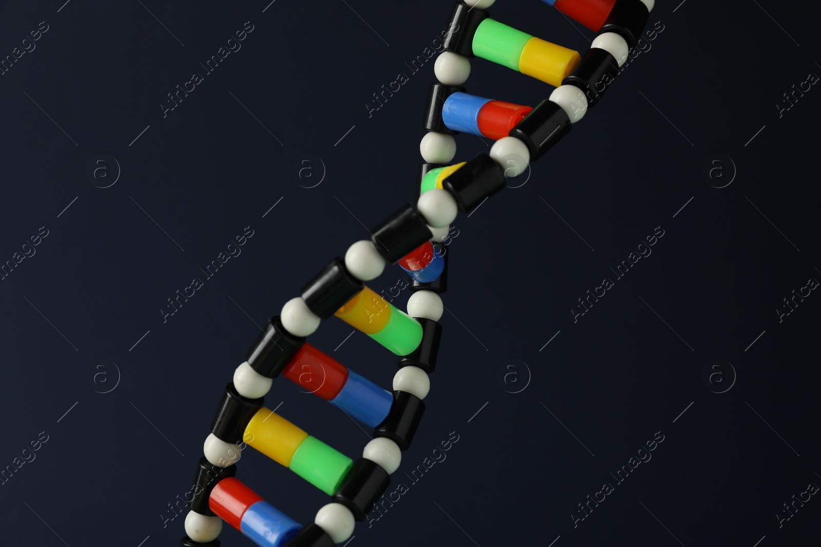 Photo of DNA structure model on dark background, closeup