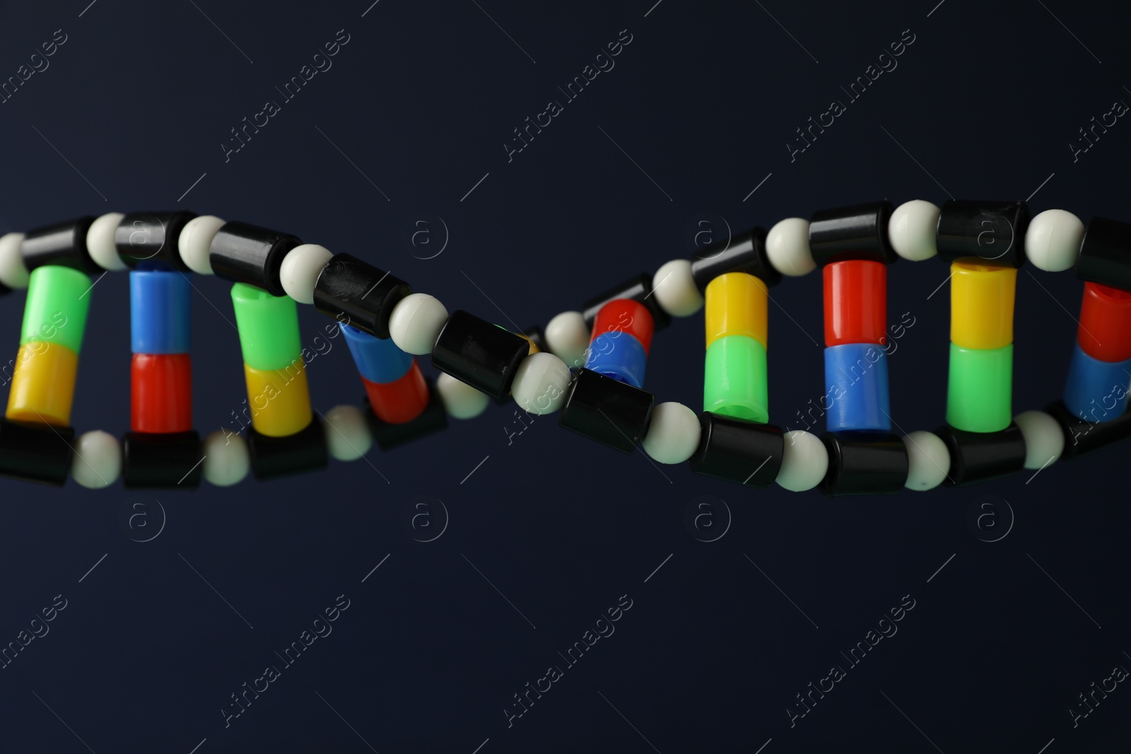 Photo of DNA structure model on dark background, closeup