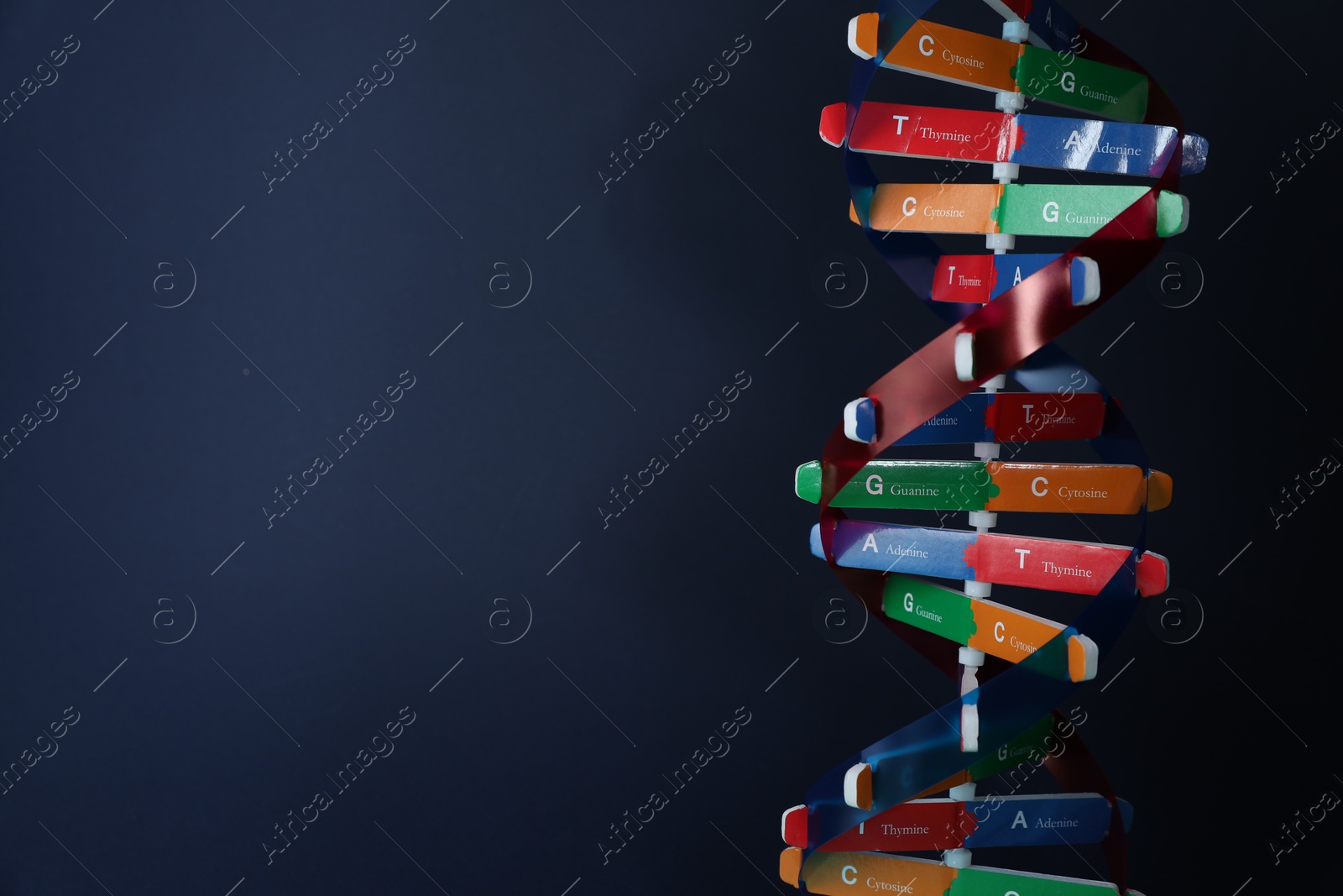 Photo of DNA structure model on dark background, space for text