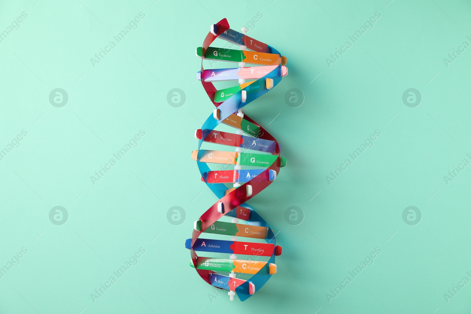 Photo of Colorful DNA structure model on turquoise background, top view