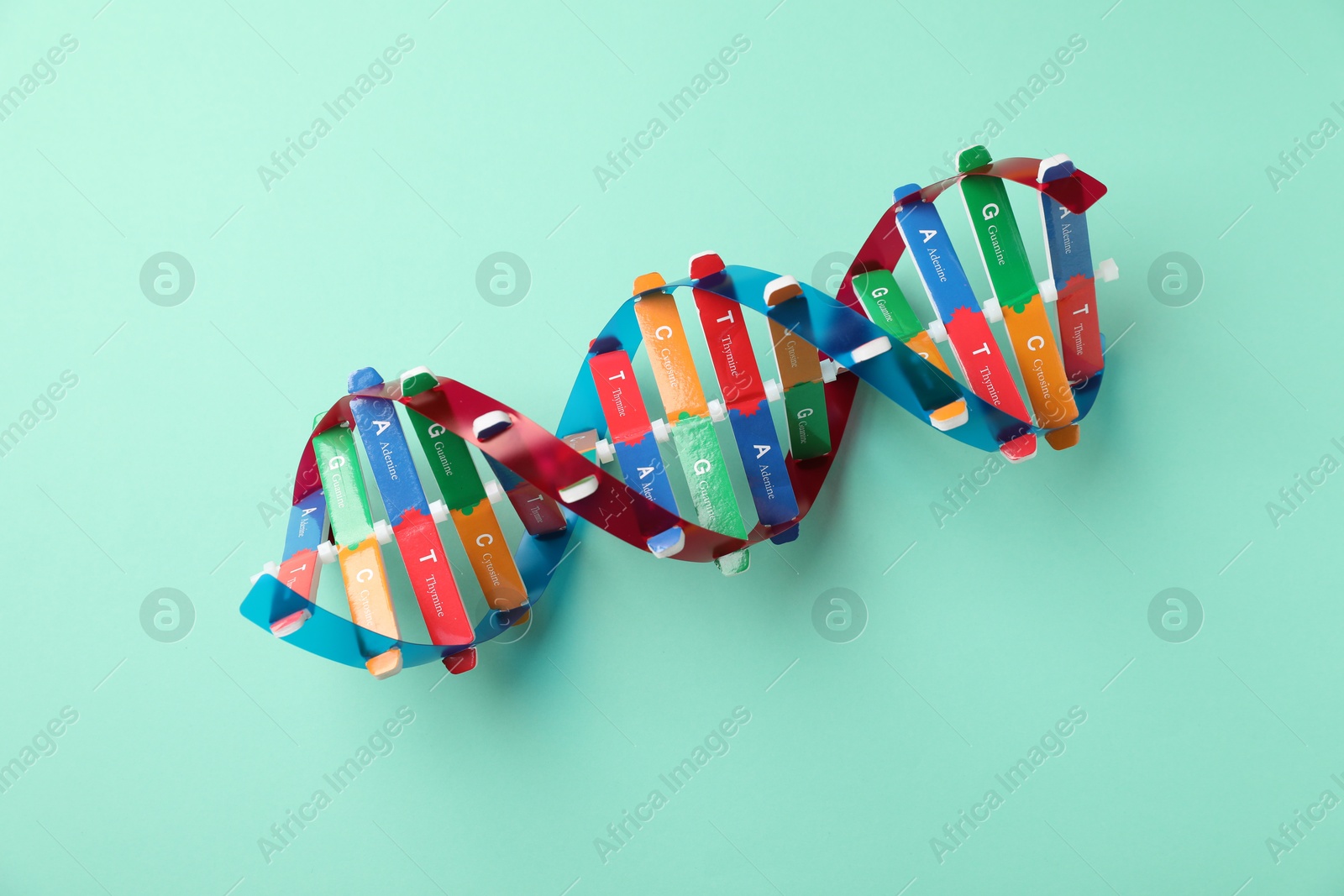 Photo of Colorful DNA structure model on turquoise background, top view