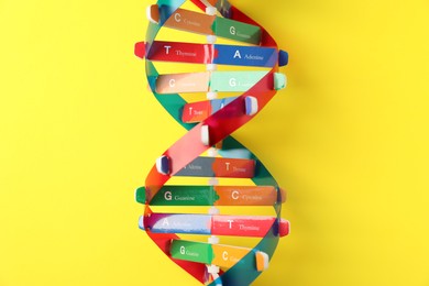 Photo of DNA structure model on yellow background, top view