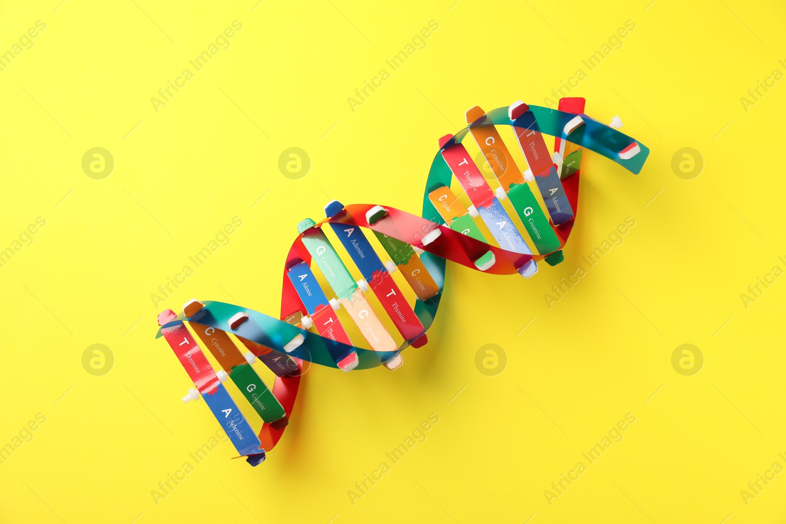 Photo of DNA structure model on yellow background, top view