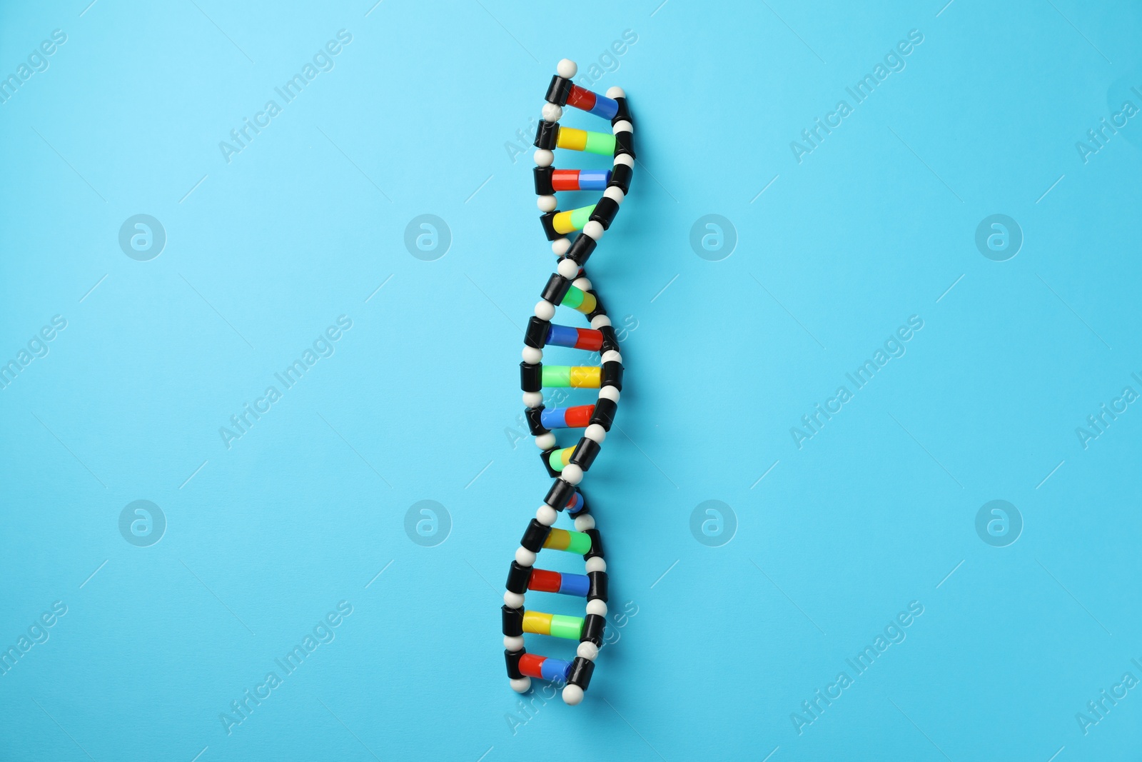 Photo of Colorful DNA structure model on light blue background, top view