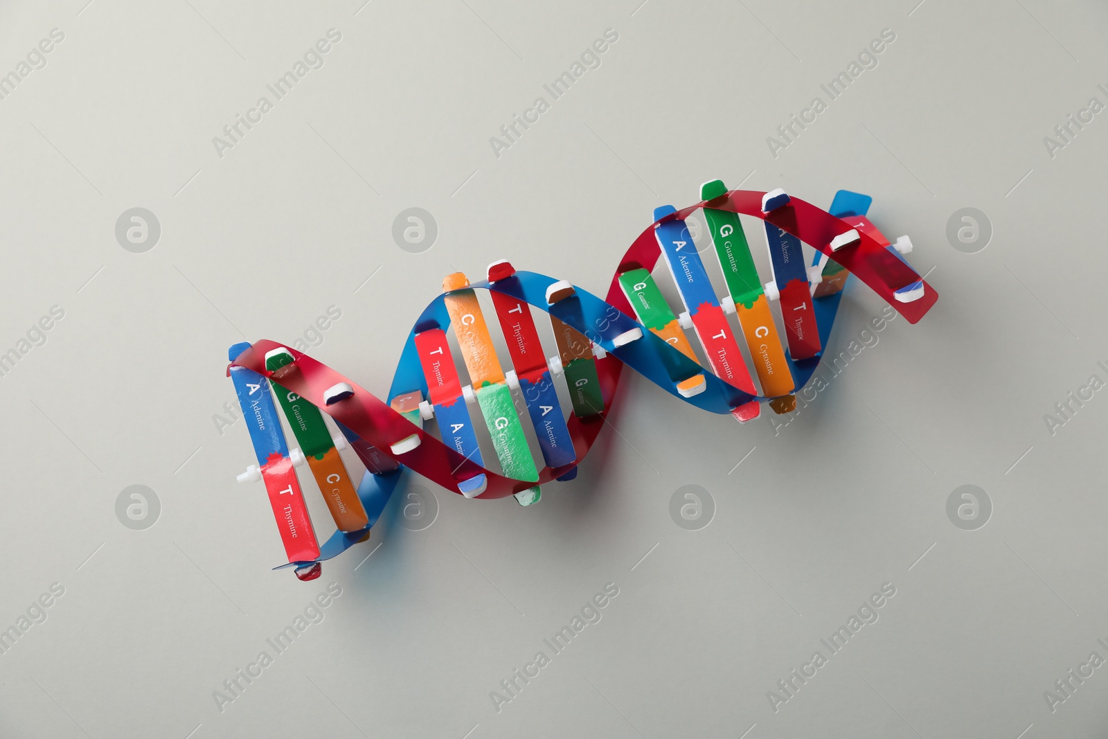 Photo of Colorful DNA structure model on light grey background, top view