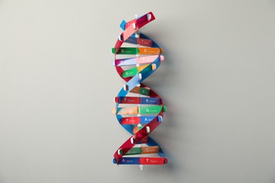 Photo of Colorful DNA structure model on light grey background, top view