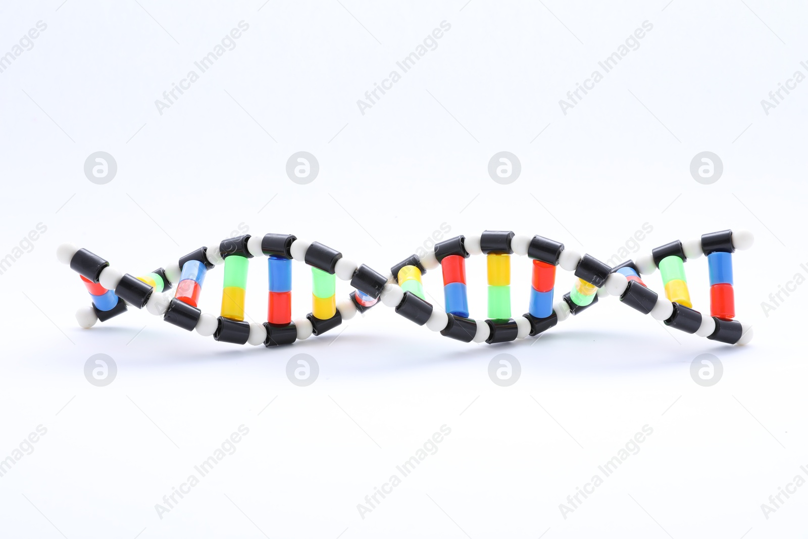 Photo of Colorful DNA structure model on white background