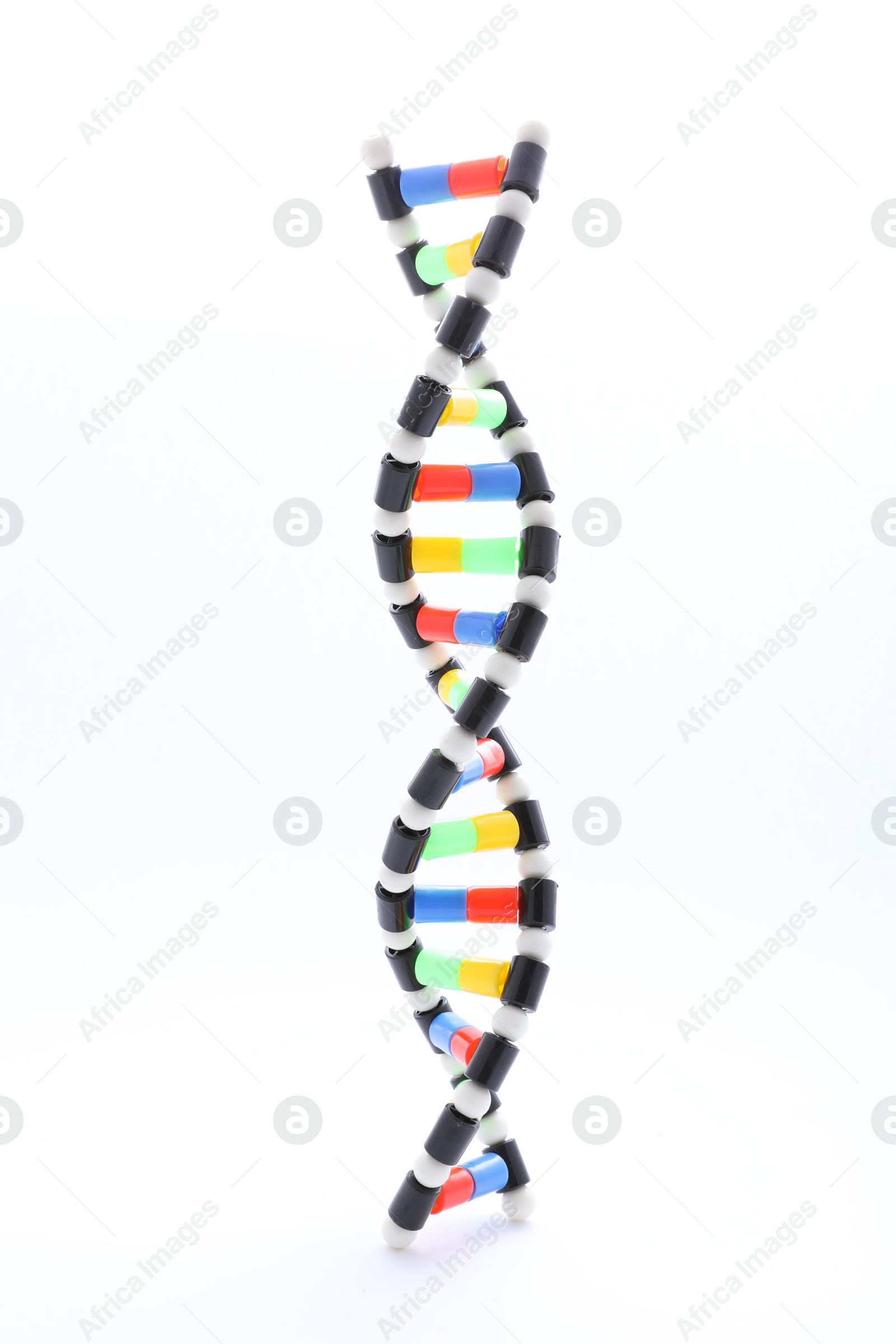 Photo of Colorful DNA structure model on white background