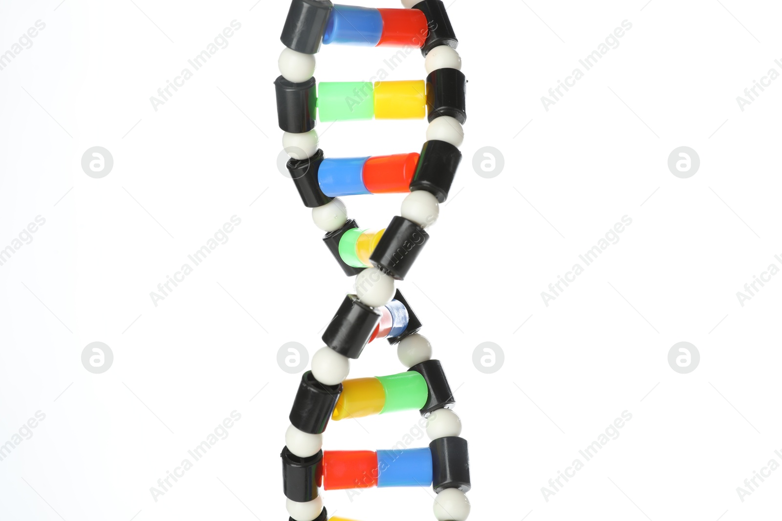 Photo of Colorful DNA structure model on white background