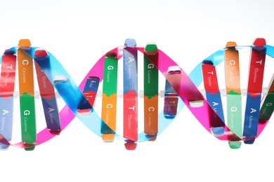 Photo of Colorful DNA structure model on white background