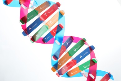 Photo of Colorful DNA structure model on white background