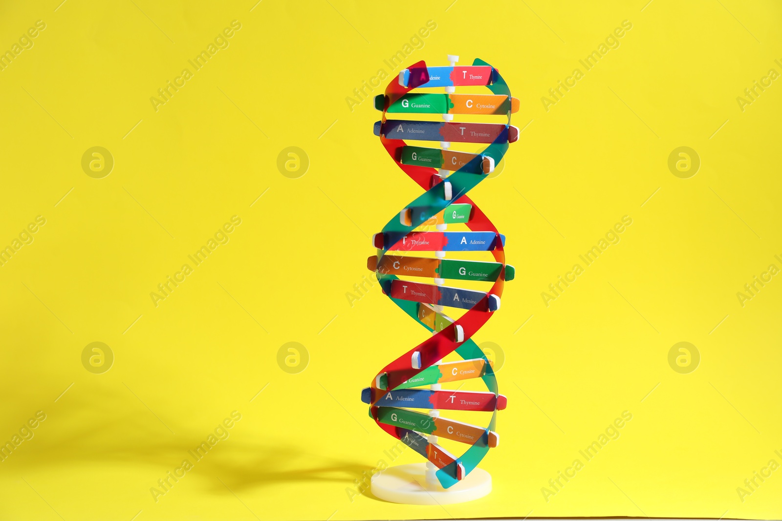 Photo of Colorful DNA structure model on yellow background