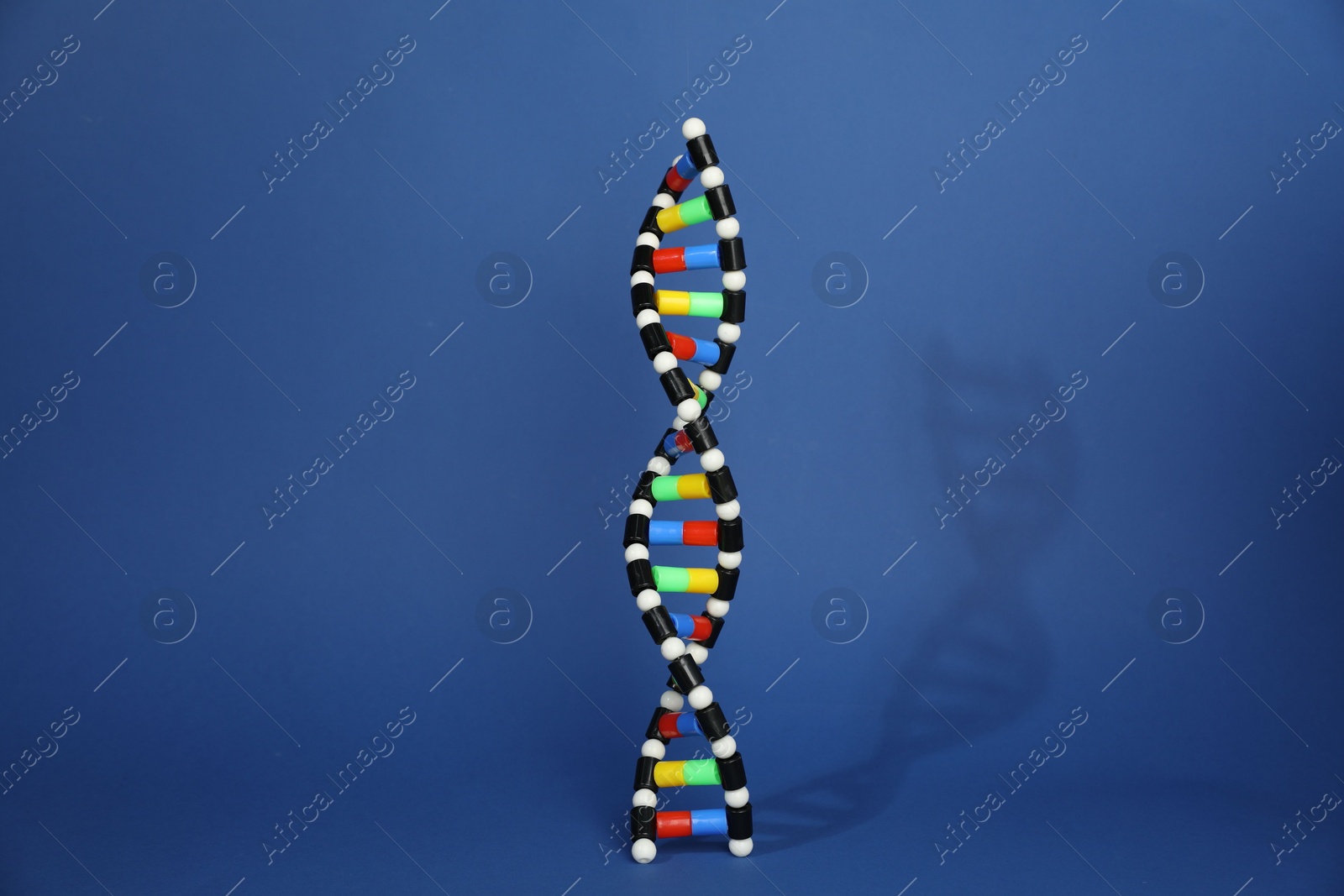 Photo of Colorful DNA structure model on blue background