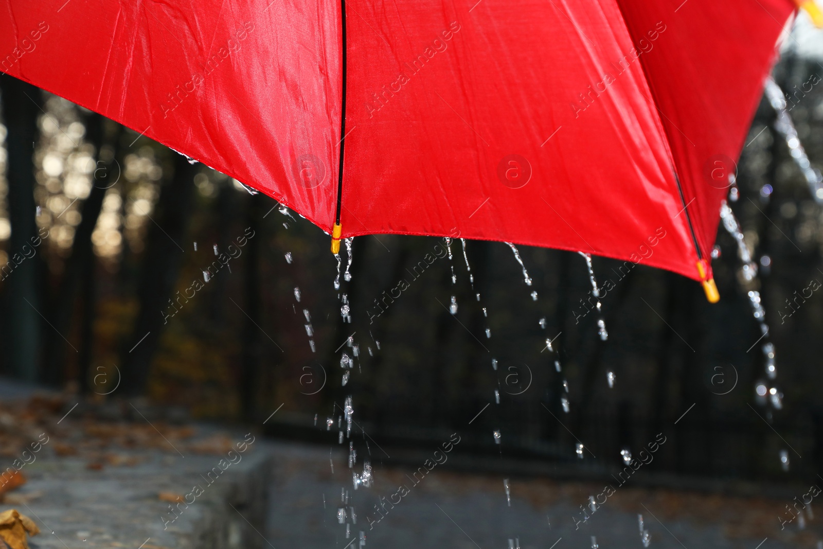 Photo of Open red umbrella under pouring rain outdoors, closeup