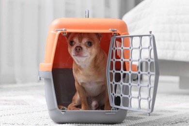 Photo of Adorable dog in pet carrier on floor indoors