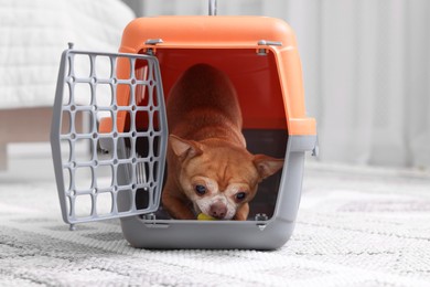 Photo of Adorable dog in pet carrier on floor indoors