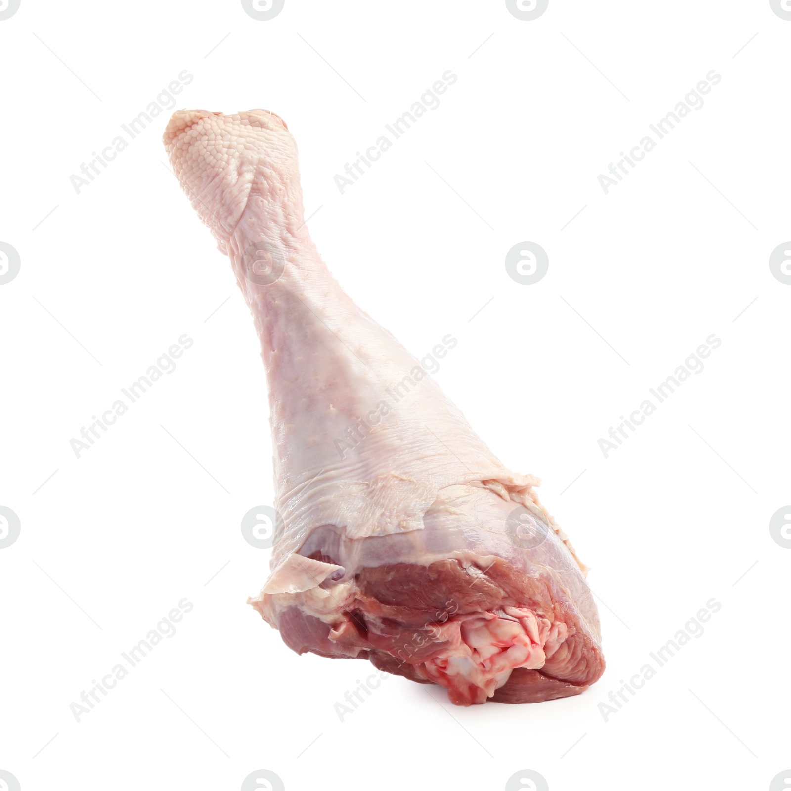 Photo of One raw turkey drumstick isolated on white