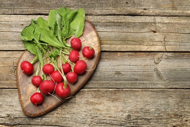 Photo of Many fresh radishes on wooden table, top view. Space for text