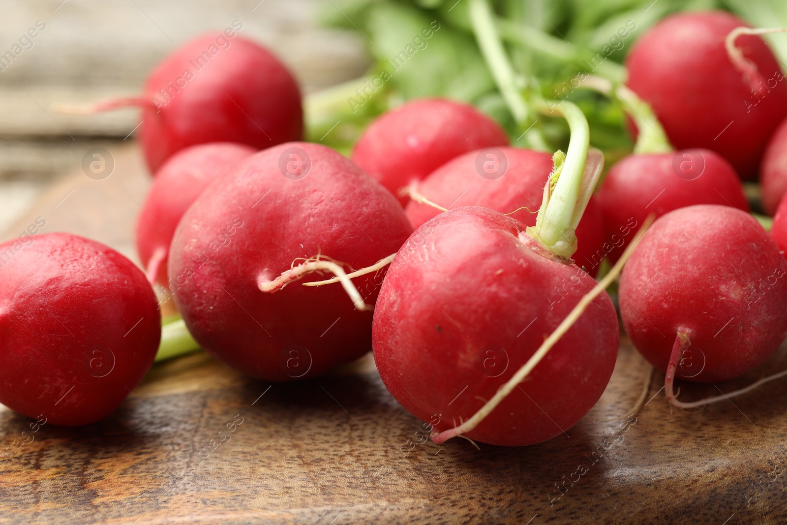 Many fresh radishes on wooden board, closeup Photo of Many fresh radishes on wooden board, closeup