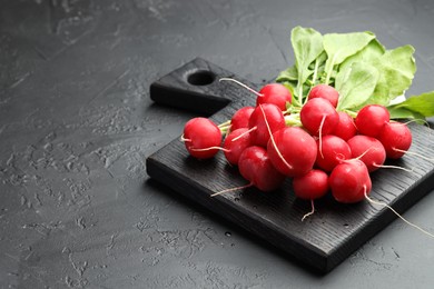 Photo of Many fresh radishes on dark textured table, closeup. Space for text