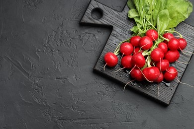 Photo of Many fresh radishes on dark textured table, top view. Space for text