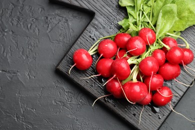Photo of Many fresh radishes on dark textured table, top view. Space for text