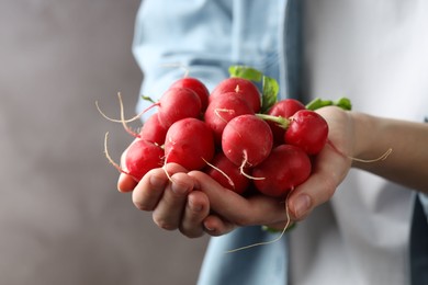 Photo of Woman with pile of fresh radishes on blurred grey background, closeup. Space for text