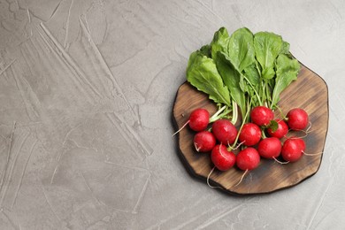Photo of Many fresh radishes on grey textured table, top view. Space for text