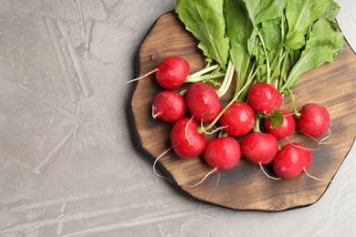 Photo of Many fresh radishes on grey textured table, top view. Space for text