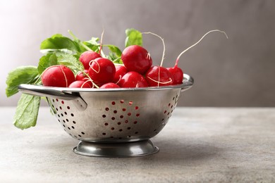 Photo of Many fresh radishes on grey textured table, closeup