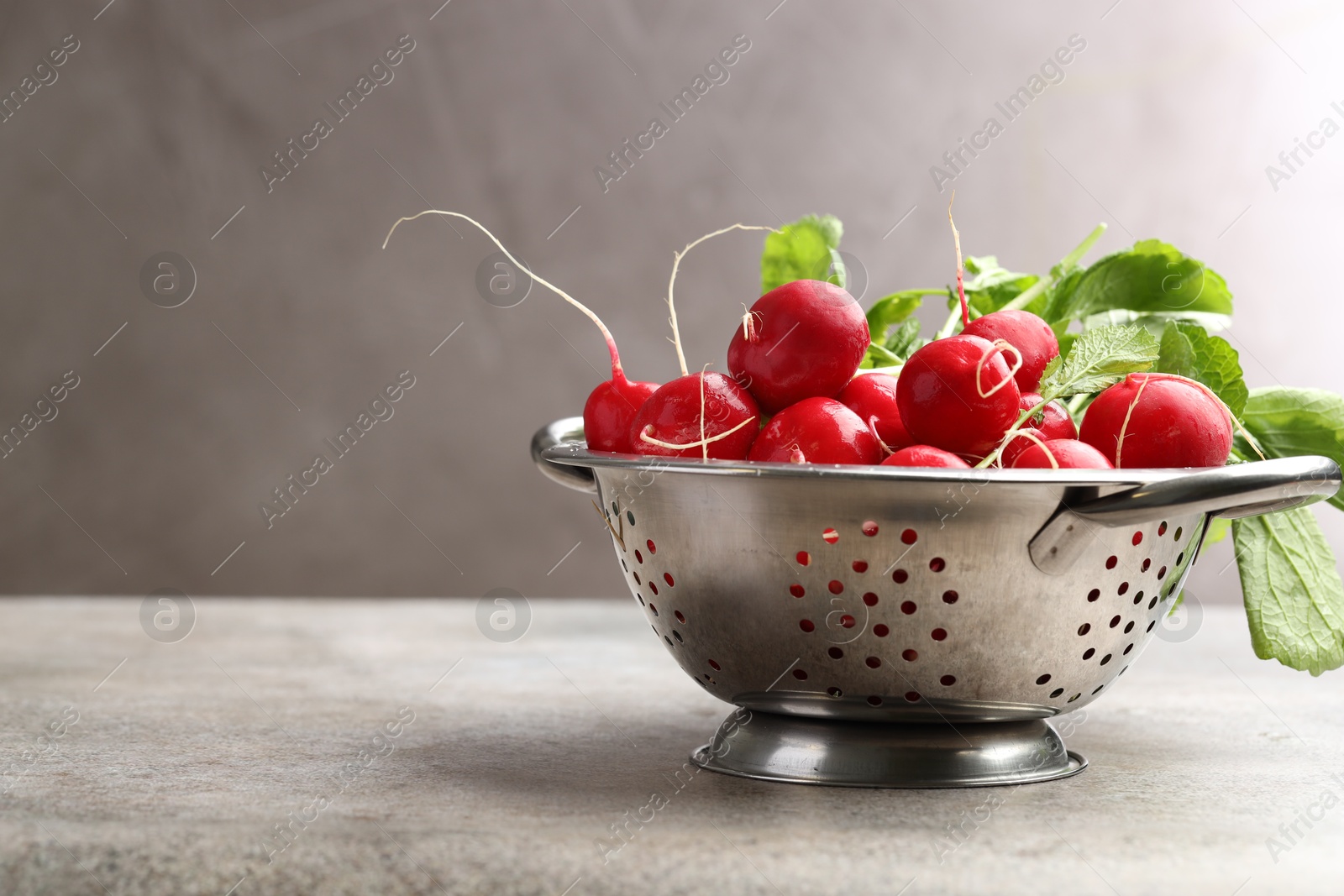 Many fresh radishes on grey textured table, closeup. Space for text Photo of Many fresh radishes on grey textured table, closeup. Space for text