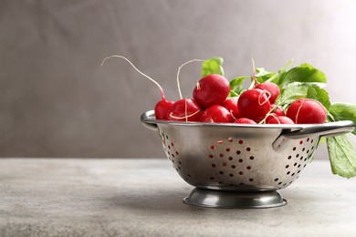 Photo of Many fresh radishes on grey textured table, closeup. Space for text