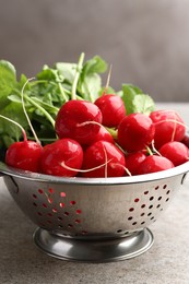 Photo of Many fresh radishes on grey textured table, closeup
