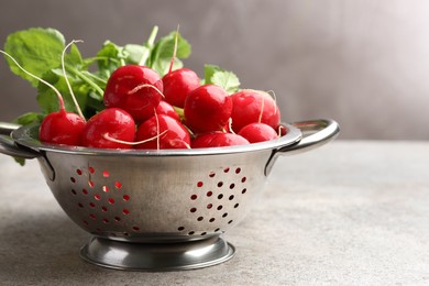 Photo of Many fresh radishes on grey textured table, closeup. Space for text