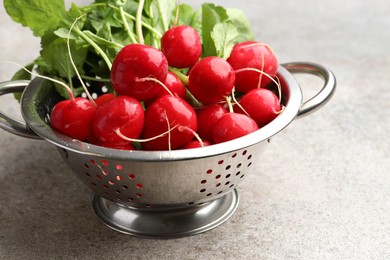 Photo of Many fresh radishes on grey textured table, closeup
