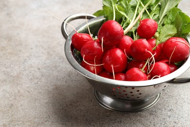 Photo of Many fresh radishes on grey textured table, closeup. Space for text