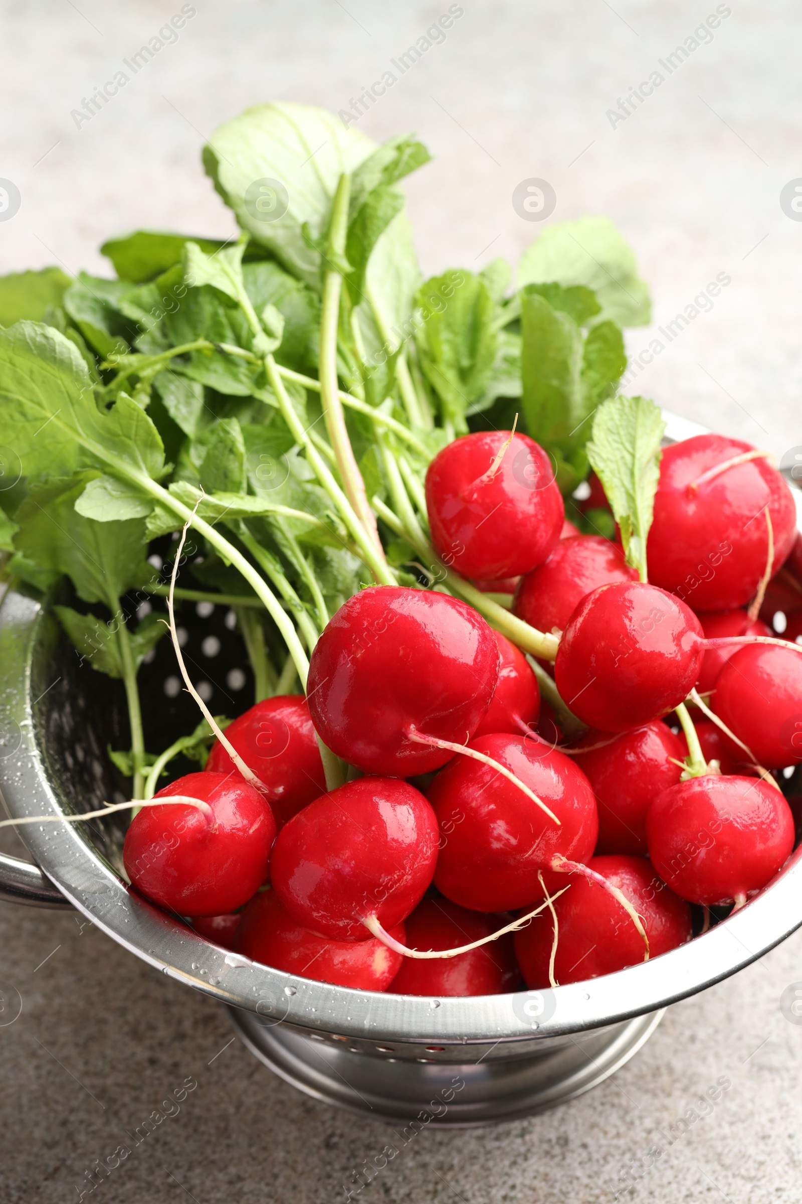 Photo of Many fresh radishes on grey textured table, closeup