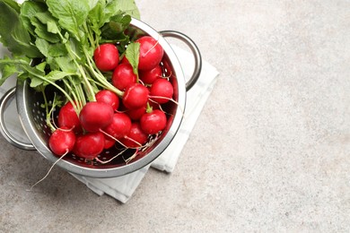 Photo of Many fresh radishes on grey textured table, top view. Space for text