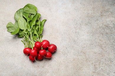 Photo of Many fresh radishes on grey textured table, top view. Space for text