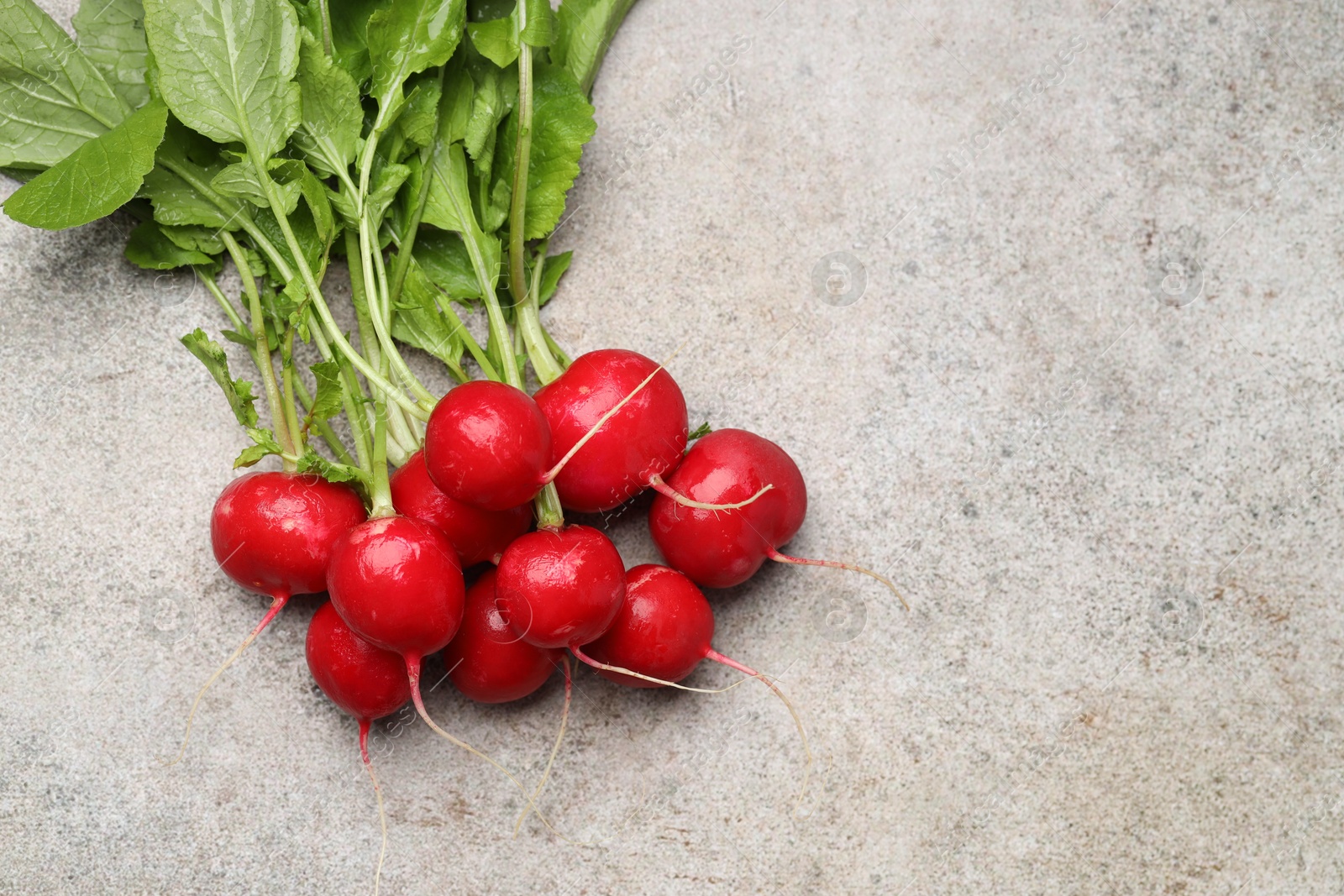 Many fresh radishes on grey textured table, top view. Space for text Photo of Many fresh radishes on grey textured table, top view. Space for text