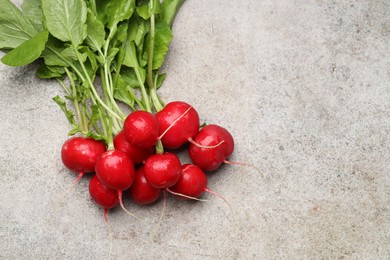 Photo of Many fresh radishes on grey textured table, top view. Space for text