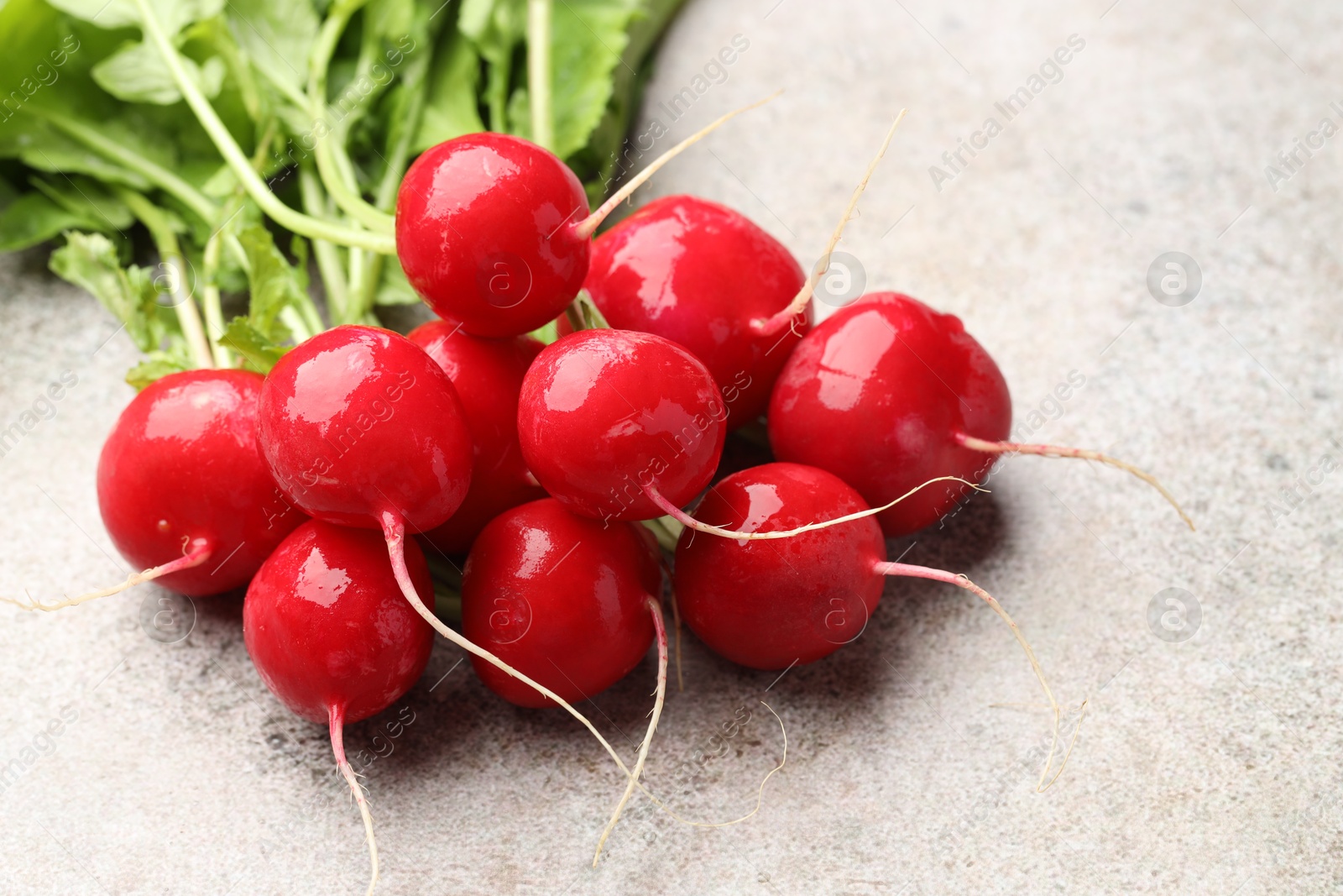 Photo of Many fresh radishes on grey textured table, closeup