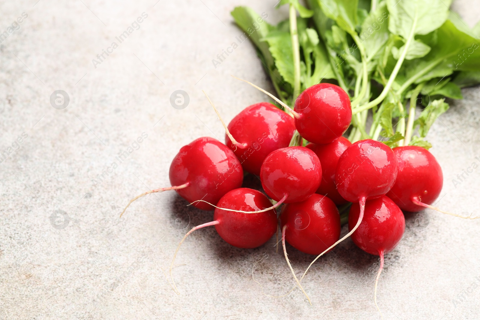 Photo of Many fresh radishes on grey textured table, closeup. Space for text