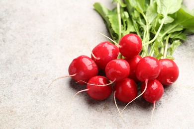 Photo of Many fresh radishes on grey textured table, closeup. Space for text