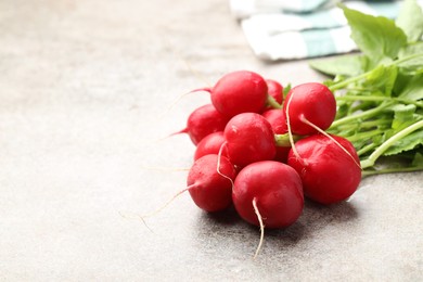 Photo of Many fresh radishes on grey textured table, closeup. Space for text