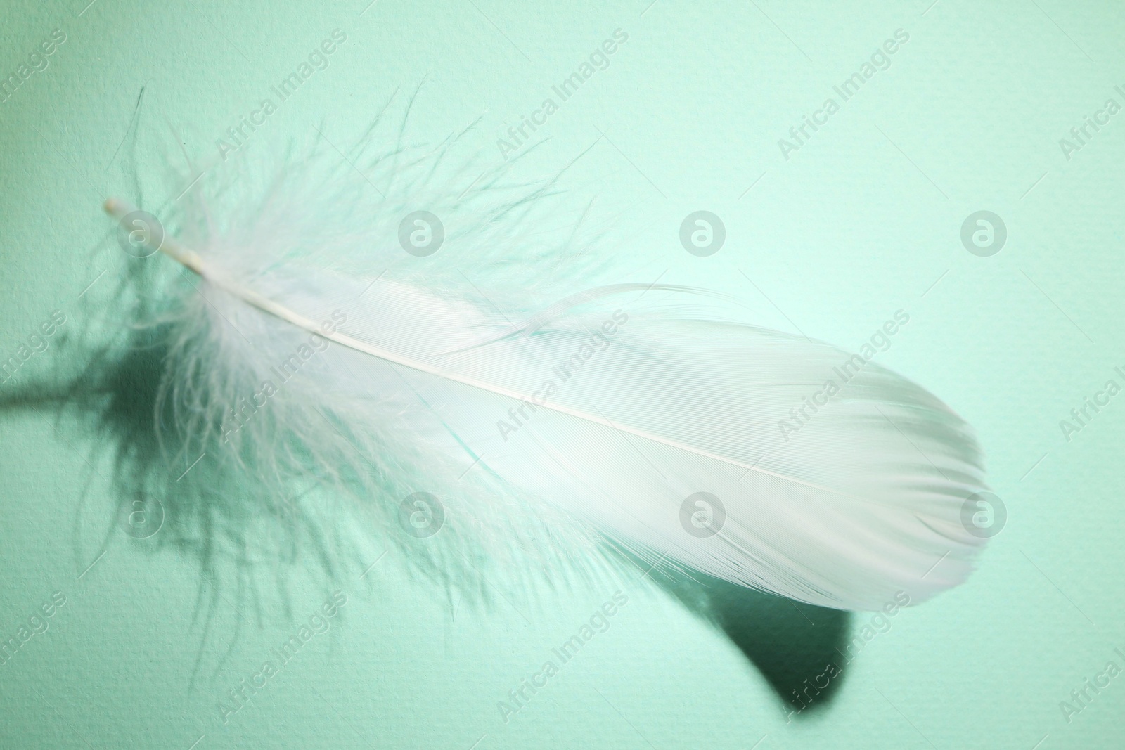 Photo of Fluffy white feather on light turquoise background, top view