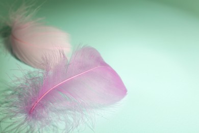 Photo of Fluffy pink feathers on light turquoise background, closeup