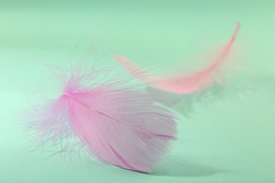 Photo of Fluffy pink feathers on light turquoise background, closeup