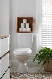 Photo of Toilet bowl, rolls of paper and houseplant in restroom